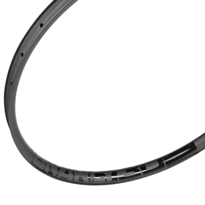 Gnarly 30mm Internal Carbon Mtn Bike Rim Decal